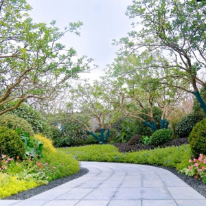 別墅庭院設(shè)計(jì)的后期如何養(yǎng)護(hù)百折不挠？